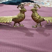 طاووس برنزی