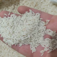 برنج ایرانی درجه 1کلات به شرط مرجوعی