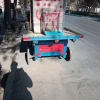 گاری تاریخی|کلکسیون اشیاء عتیقه|برخوار, |دیوار