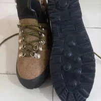 کفش حرفه ایی کوهنوردی