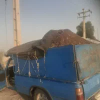 کودمرغ نیسانی