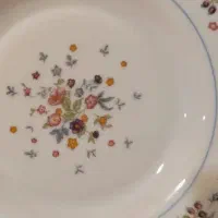 بشقاب لومینارک
