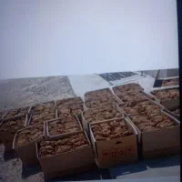 برگ کاهو