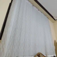 تعدادی پرده فروش توافقی