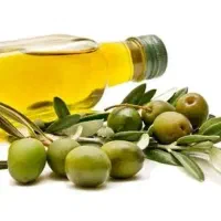 آموزش رایگان مزاج شناسی و زبان شناسی