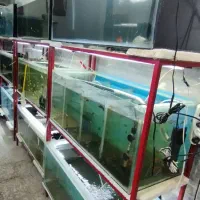 فروش لوازم آکواریوم فروشی|ماهی|سراوان, |دیوار