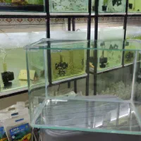 آکواریوم شیشه خم حراج / آکواریوم بهروز|ماهی|زنجان, |دیوار