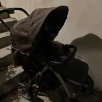 کالسکه|کالسکه و لوازم جانبی|بندرلنگه, |دیوار