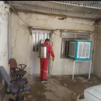 سمپاشی موریانه زدایی سم پاشی سوسک ساس|خدمات نظافت|بندر ماهشهر, |دیوار