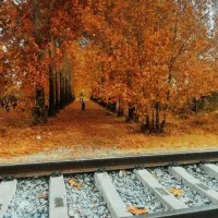 عکسبرداری در فضای باز