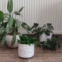 سه عدد با گلدان های زیبا