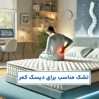 تشک مخصوص کمردرد تن‌اسا