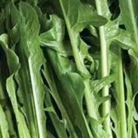 گلاب خونگی تهیه شده ازگل بش