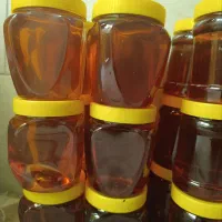 عسل گون و اویشن وچهل گیاه اصل