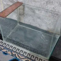 آکواریوم