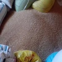 ۲نیم تن گندوم