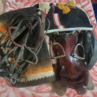 زین و کلگی و...