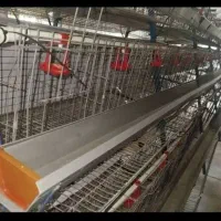 قفس منبری مرغ