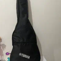 گیتار نو