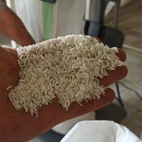 برنج ایرانی درجه یک