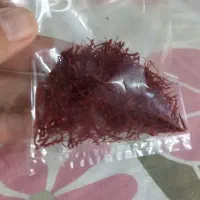 زعفران درجه یک|خوردنی و آشامیدنی|پردیس, فاز ۴|دیوار