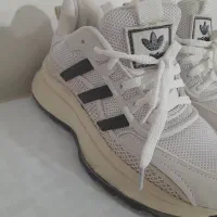 کتونی|کیف، کفش، کمربند|نسیم‌شهر, |دیوار