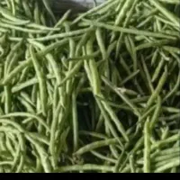 لوبیا سبز تازه