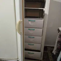 یخچال دوقلوی پارس