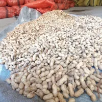 نیروی کار آقابرای کارگاە خشکبار|استخدام صنعتی، فنی، مهندسی|سنندج, |دیوار