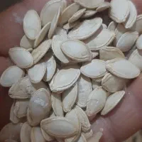 تخم کدو|خوردنی و آشامیدنی|آباده, |دیوار