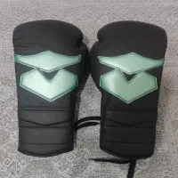 دستکش بوکس حرفه ای