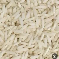 برنج نو رسید