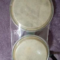 تومبا مارک sonor|درام و پرکاشن|تهران, دهکده المپیک|دیوار