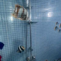 ست شیر الات و توالت فرنگی