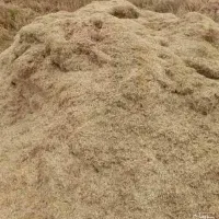کاه امسال تمیز