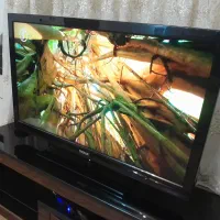 ال سی دی ۴۶ اینچ اسنوا دیجیتال دار فول اچ دی