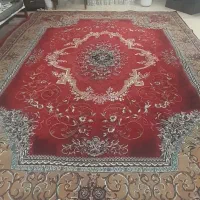 فرش ۱۲ و ۹ متری|فرش|آمل, |دیوار