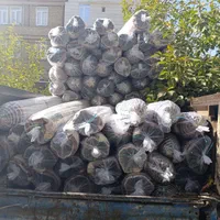 فرشستان جوان تمر|فرش|سلماس, |دیوار