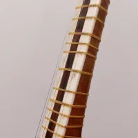 تار داوود علیاری|سازهای سنتی|تهران, پونک|دیوار