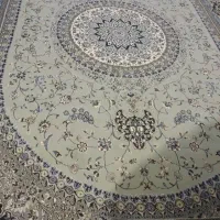 قالی سالم امیدیه هستم