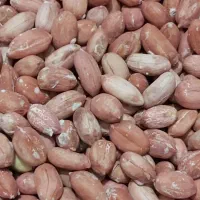 بادام سنگی بادام زمینی آستانه لوبیاچیتی شکلات خرما|خوردنی و آشامیدنی|قم, باسکول|دیوار