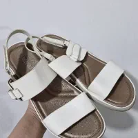 صندل سفید