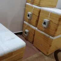 دستگاه جوجه کشی