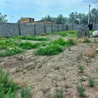 زمین برای باغچه