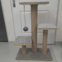 اسکرچر گربه