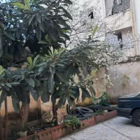 90متری-درچندقدمی-خیابان-اصلی