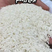 برنج گیلان مازندران/ عمده تناژ/ هاشمی طارم صدری