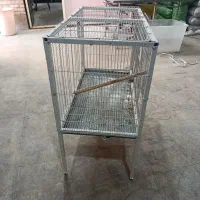 برای پرنده‌
