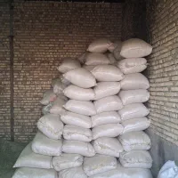 کاه گندم کاه سفید درجه یک