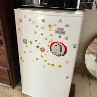 دوعدد یخچال و فریزر